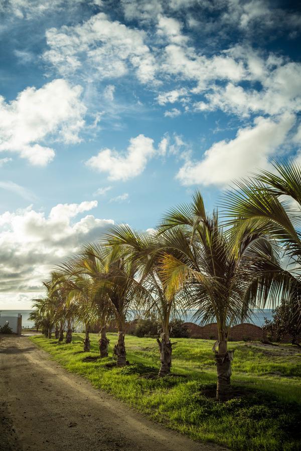 Villa Al Fe ลอสโอร์กานอส ภายนอก รูปภาพ